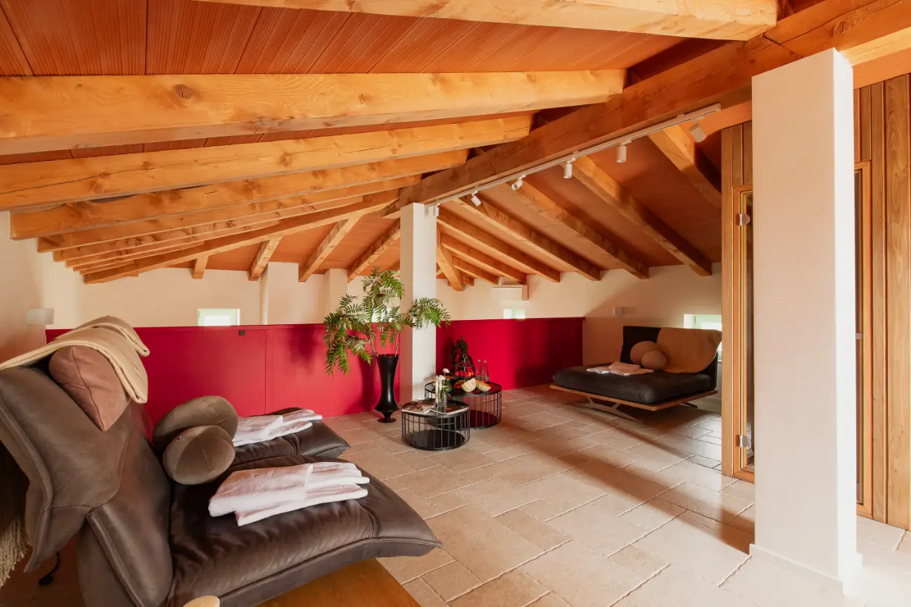 Spa soba v apartmaju Brajda